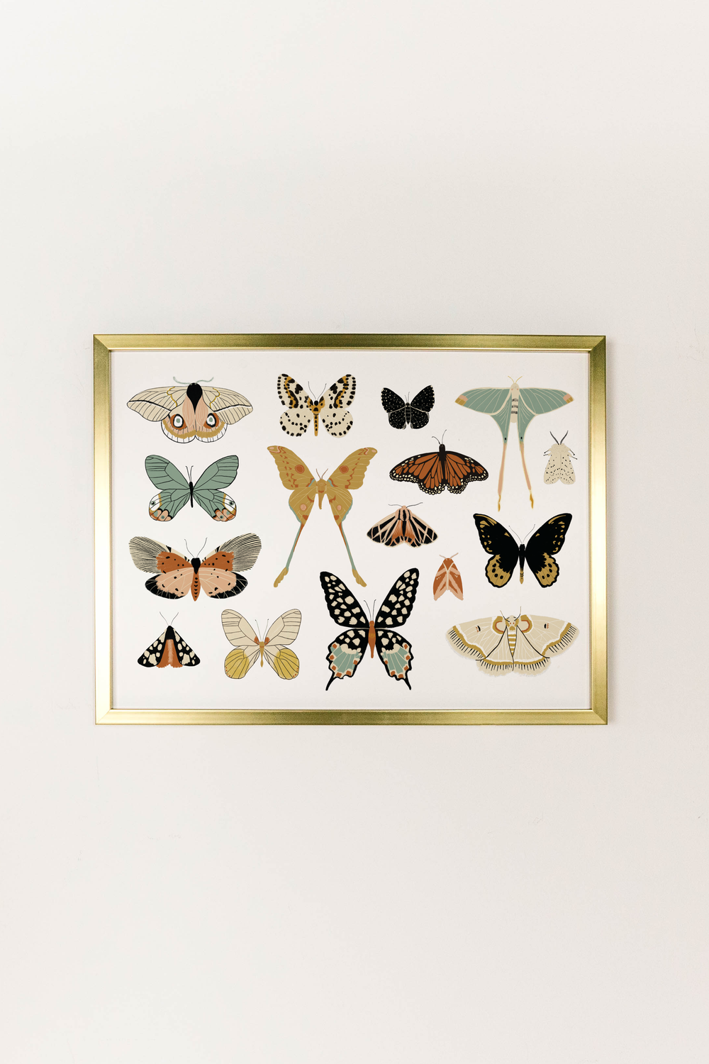 Butterfly Collector Art