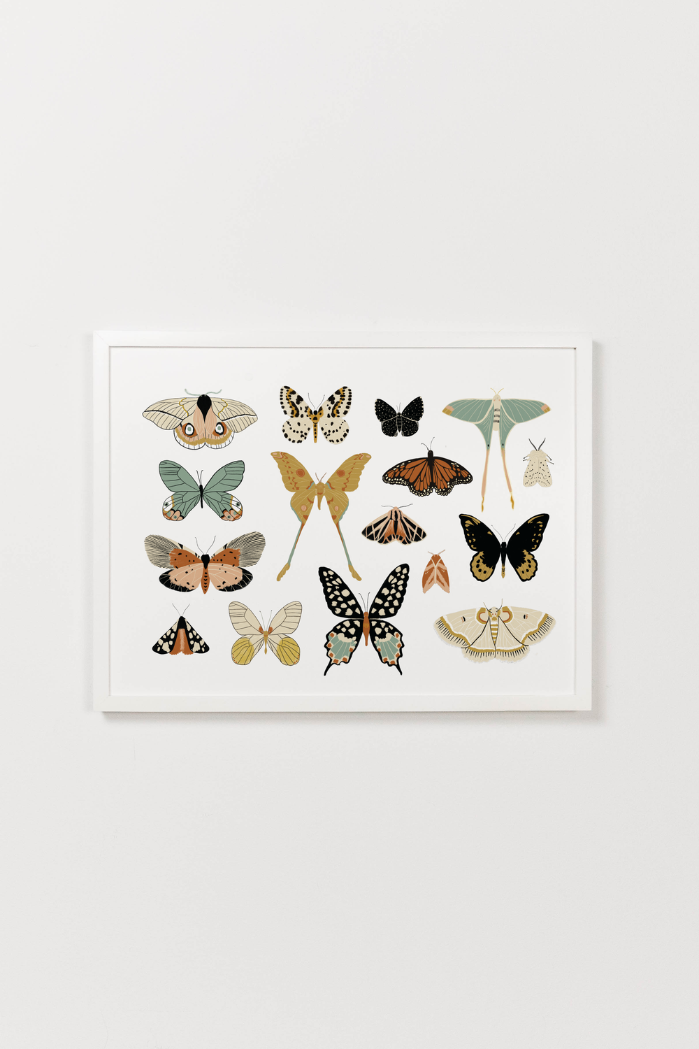 Butterfly Collector Art