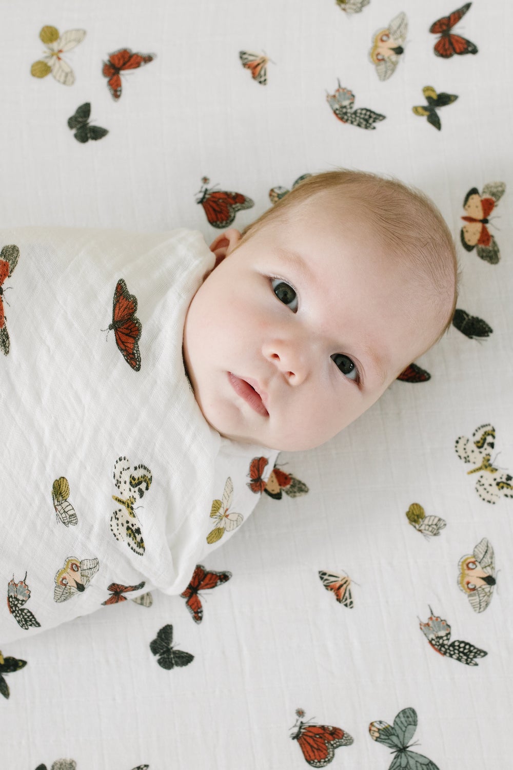 Butterfly Migration Swaddle