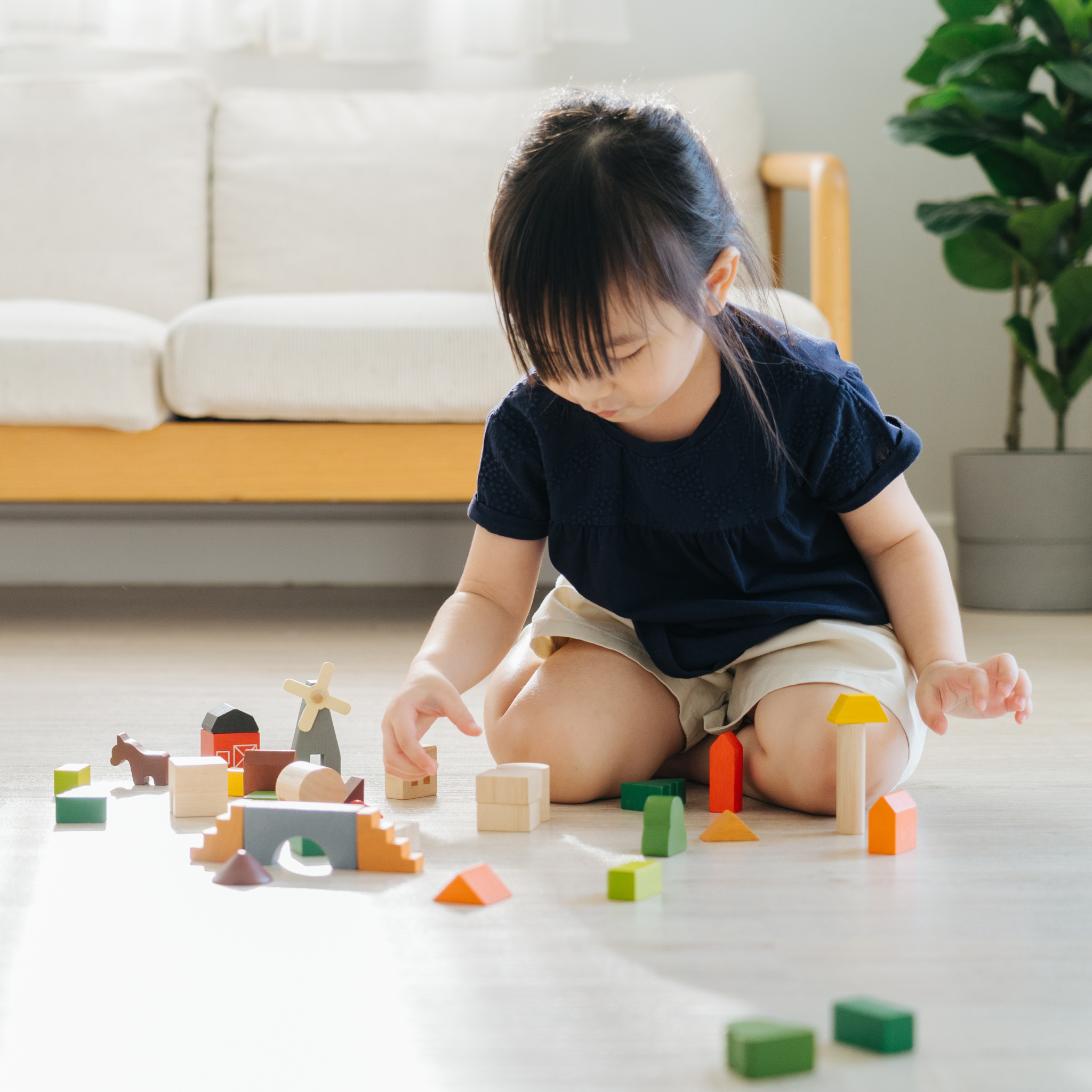 Countryside Blocks