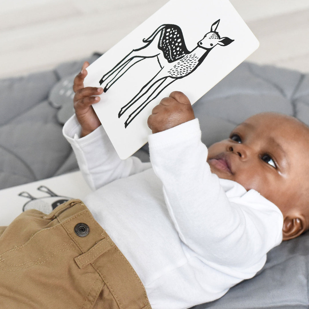 Wee Gallery High-Contrast Art Cards for Baby